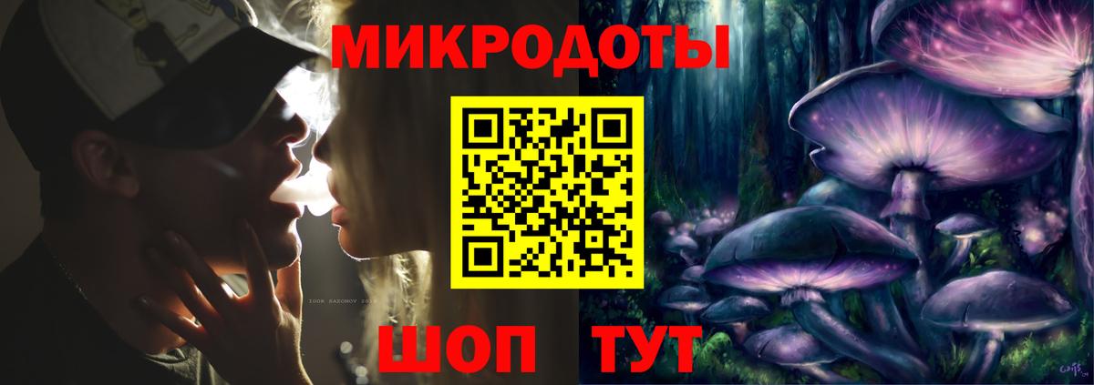Псилоцибиновые грибы Psilocybine cubensis Санкт-Петербург
