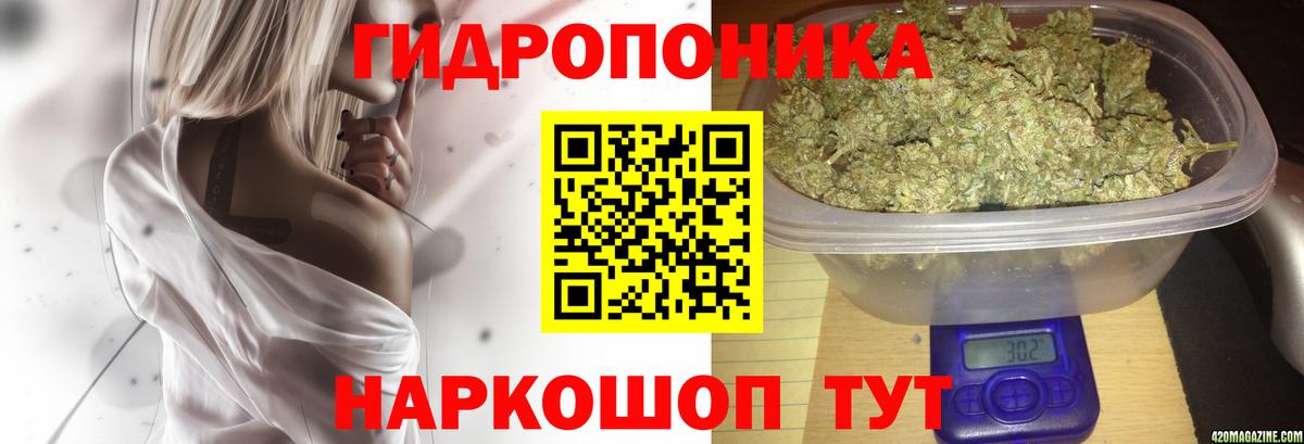 Каннабис LSD WEED Санкт-Петербург